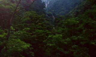 天津到泰山旅游